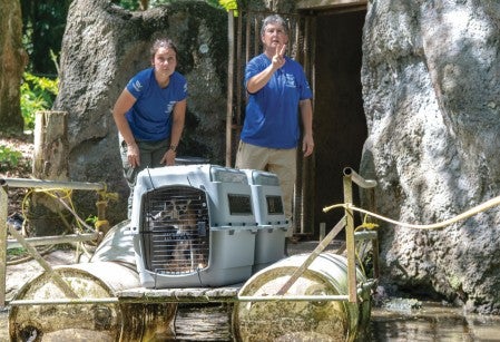 HSUS staff load a pair of lemurs onto a raft to cross a moat at zoo before transporting to sanctuary