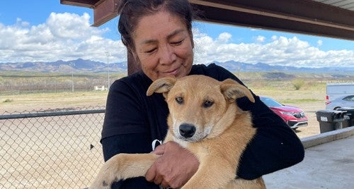More Than a Pet (MTAP) Community Hero Finalist, Julie Cassadore, San Carlos, AZ, March 2024