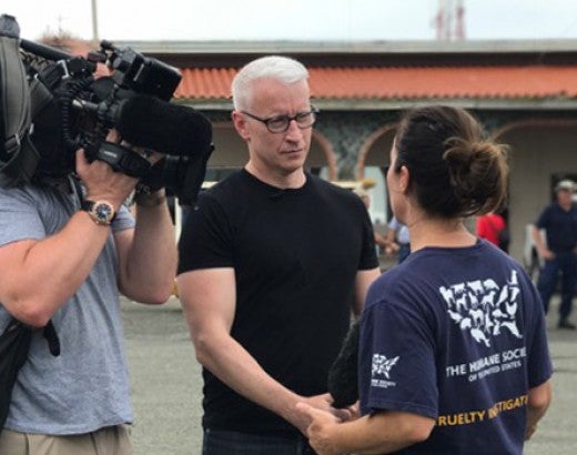 Anderson Cooper interviewing HSUS staff member after transport of animals displaced by Hurricane Maria