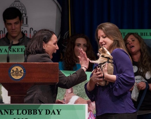 Dog giving a high five at Humane Lobby Day