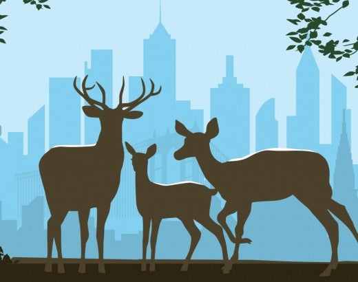 Illustration of a family of deer with New York City in the background