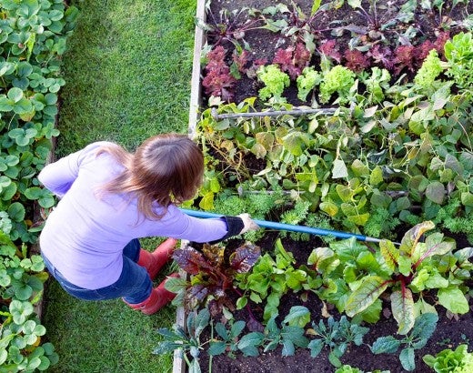 overhead view of a woman tending her garden