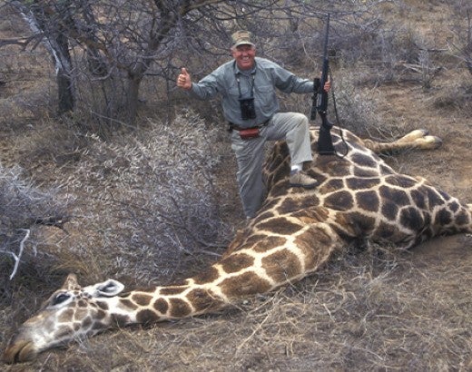 Big game hunter and giraffe trophy South Africa