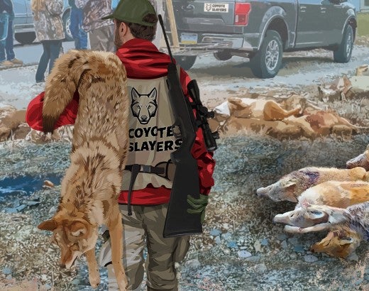 Illustration of a man carrying a dead coyote among other participants of a wildlife killing contest