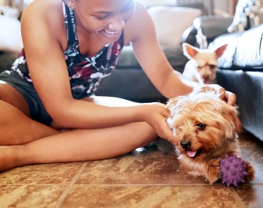 A woman plays with her yorkie dog on the floor