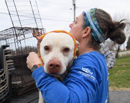 HSUS ARRT member rescues a dog that was tied up