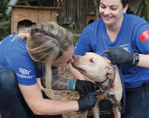 HSUS animal rescue services in action
