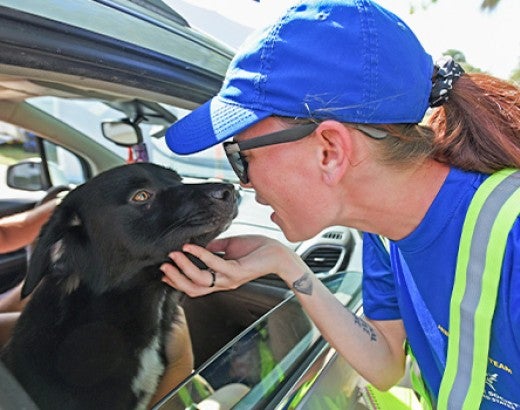 HSUS rescue team checks on a stray dog picked up by a passerby at a pet food distribution site for hurricane survivors