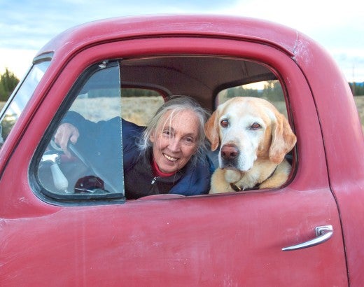 Jane Goodall in a red truck with a dog.