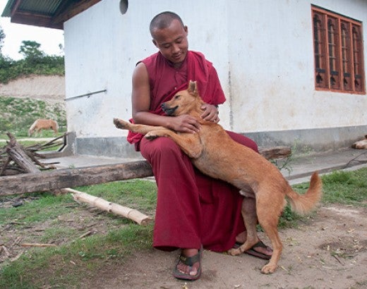 Street dog in Bhutan cuddles with a man