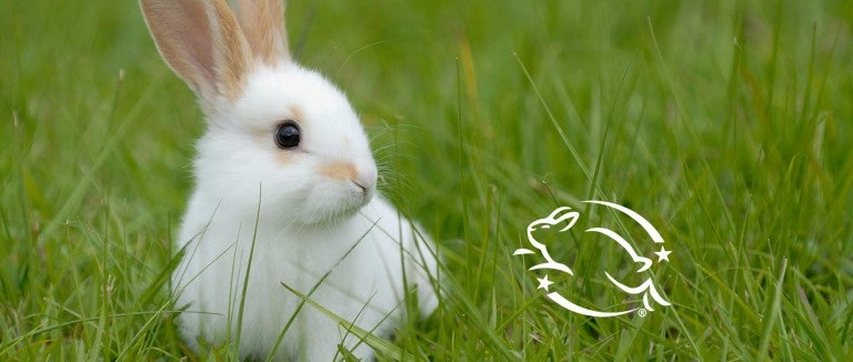 White rabbit with Leaping Bunny logo