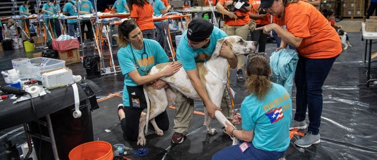 Participants with dog at Spayathon for PR