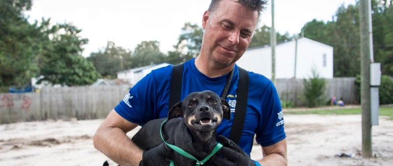 Dog and rescuer during HSUS efforts following Hurricane Florence in South Carolina