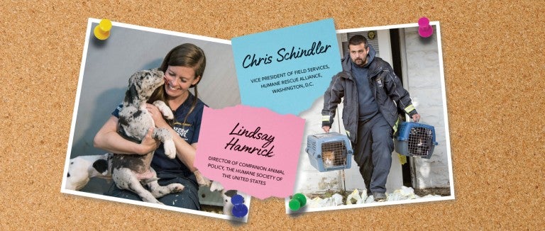 Photos of Chris Schindler and Lindsay Hamrick tacked onto a cork board.