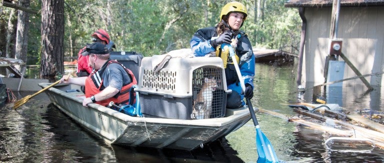 Emergency response team with rescued cats in crates