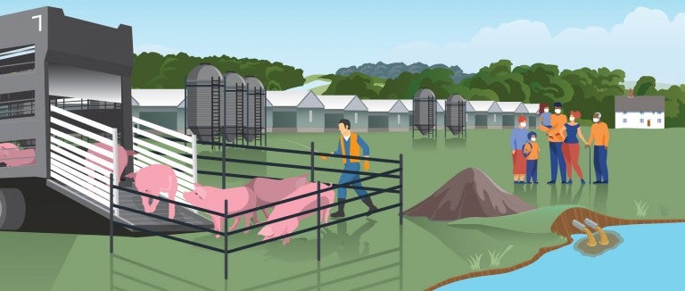 Illustration of a factory farm with man herding pigs into a truck, pollution and a family nearby
