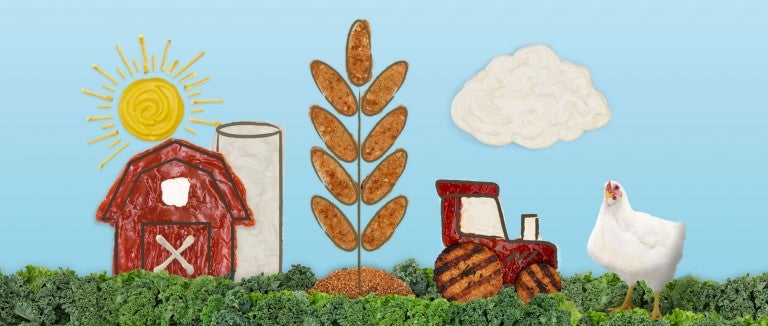 Photo illustration of a farm scene using plant-based nuggets and condiments as design elements