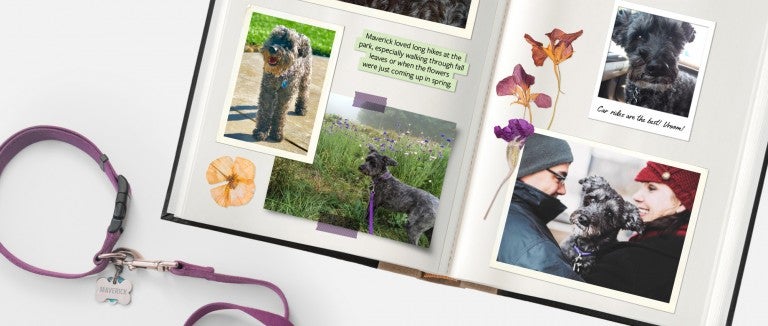 scrapbook showing photos of Mavrick the dog and Maverick's leash with tags