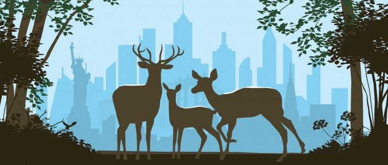 Illustration of a family of deer with New York City in the background