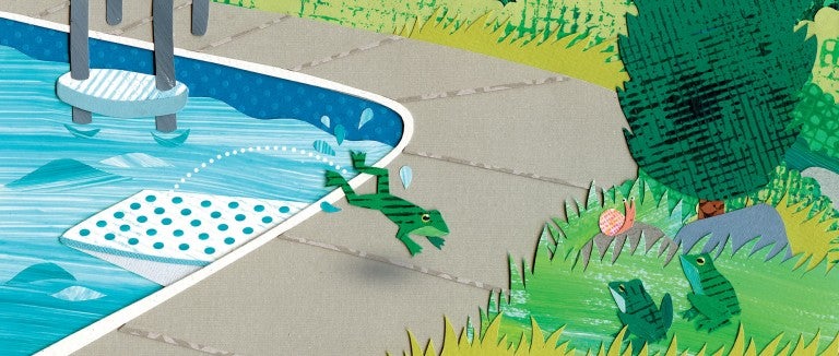 A frog jumps to safety out of a pool using a ramp to rejoin the other frogs on the safety of the grass