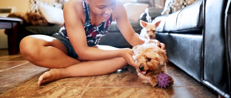 A woman plays with her yorkie dog on the floor