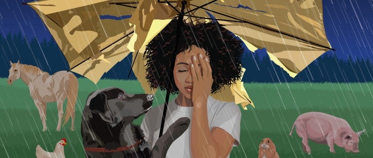 Illustration of sad woman under a broken umbrella in a rainstorm. A black dog tries to comfort her while animals endure the storm.