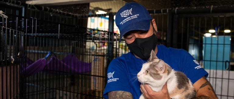 HSUS rescue team member helps cat from Indiana neglect rescue