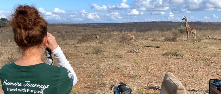 A woman in a green shirt looks out over African savanna and sees multiple giraffes