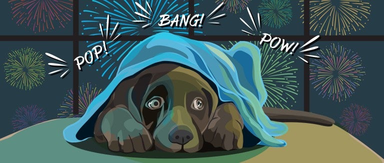 Illustration of a dog hiding under a blanket while fireworks go off out the window behind him.