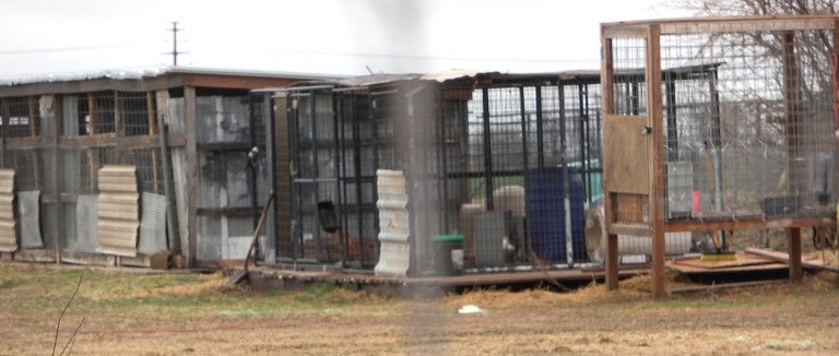 Outdoor dog kennels in poor condition 