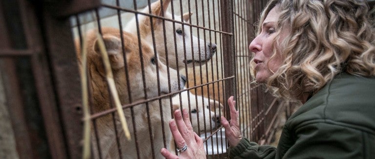 Woman greets a dog through a cage