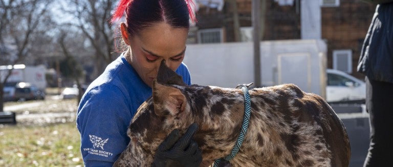 Animal rescue responder greets a dog