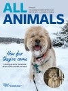 Cover of All Animals Magazine with a photo of Minnow the dog playing in the snow.