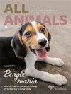 Cover of All Animals Magazine with a photo of a beagle puppy.