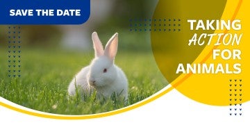 Save the date for Taking action for animal graphic with rabbit in the grass