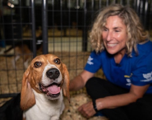 Fin the beagle at temporary shelter with Kitty Block, President and CEO of the HSUS