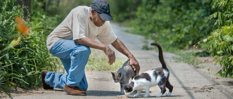 Man visits with some neighborhood kitties.